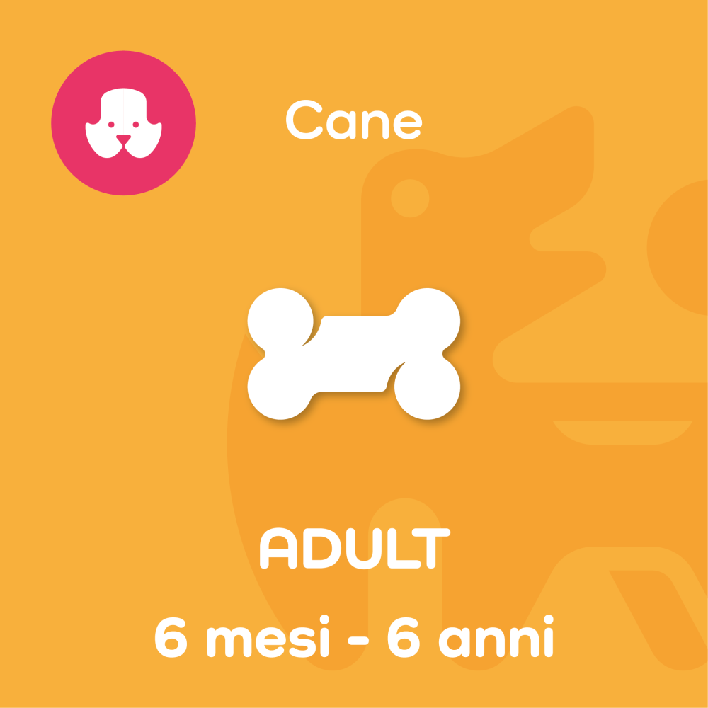 ADULT