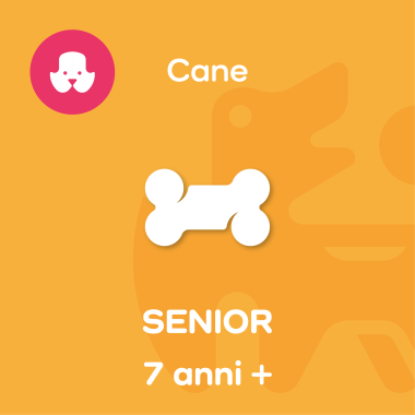 SENIOR