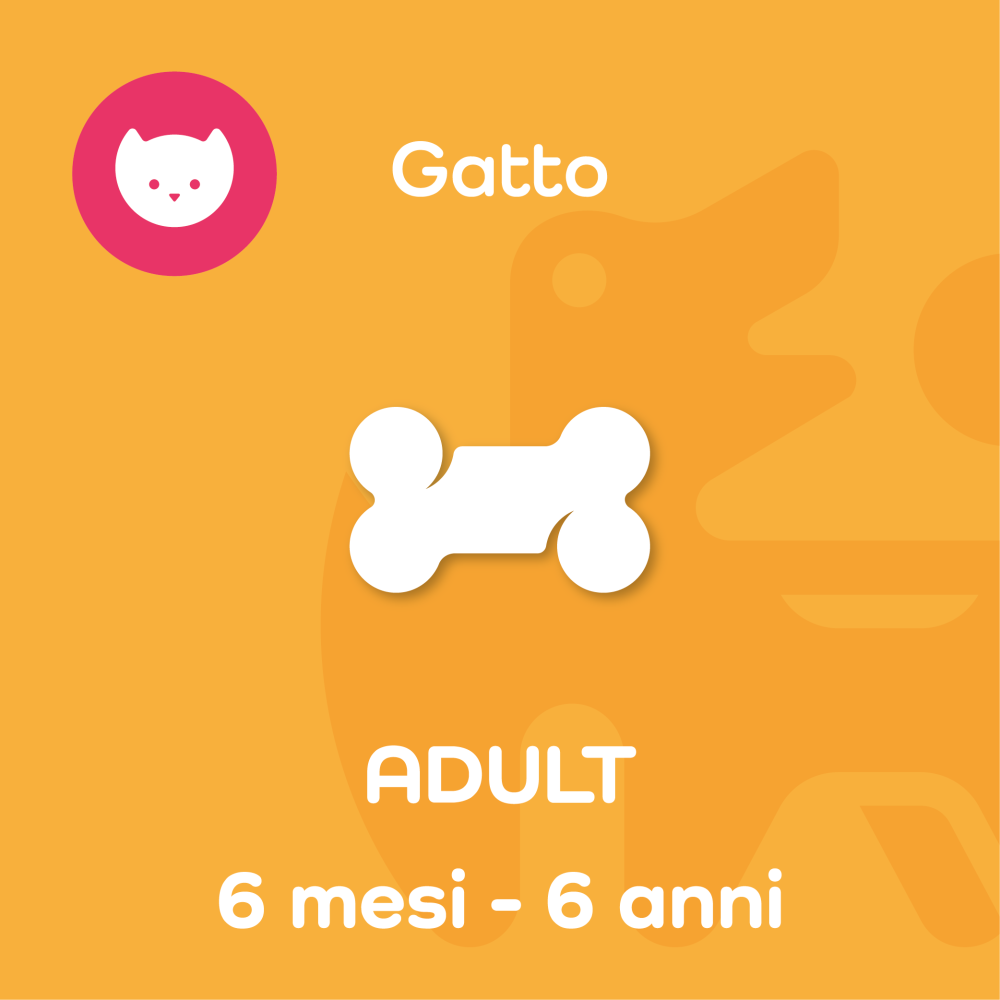 ADULT