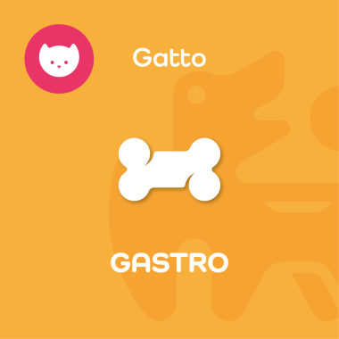 GASTRO