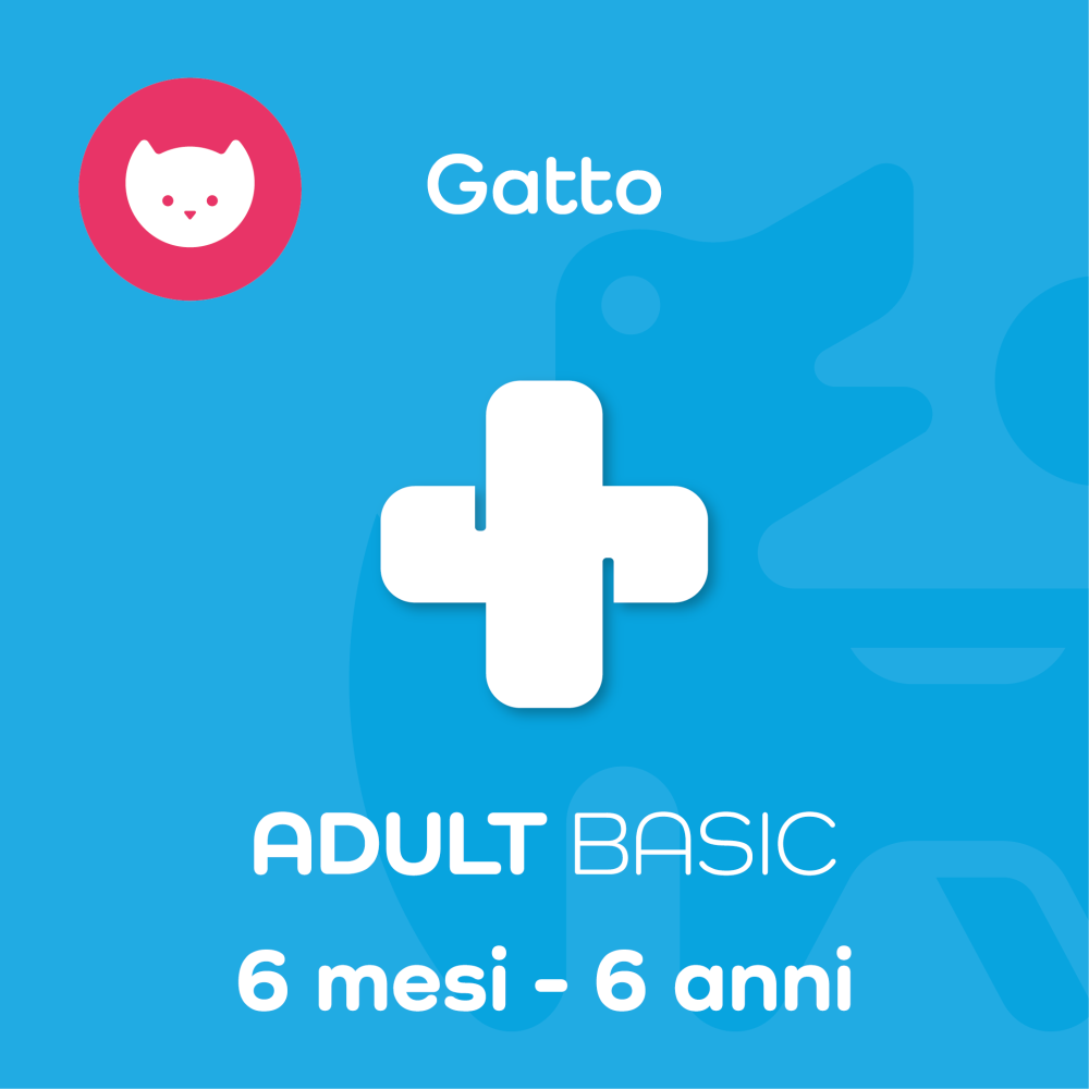 ADULT BASIC