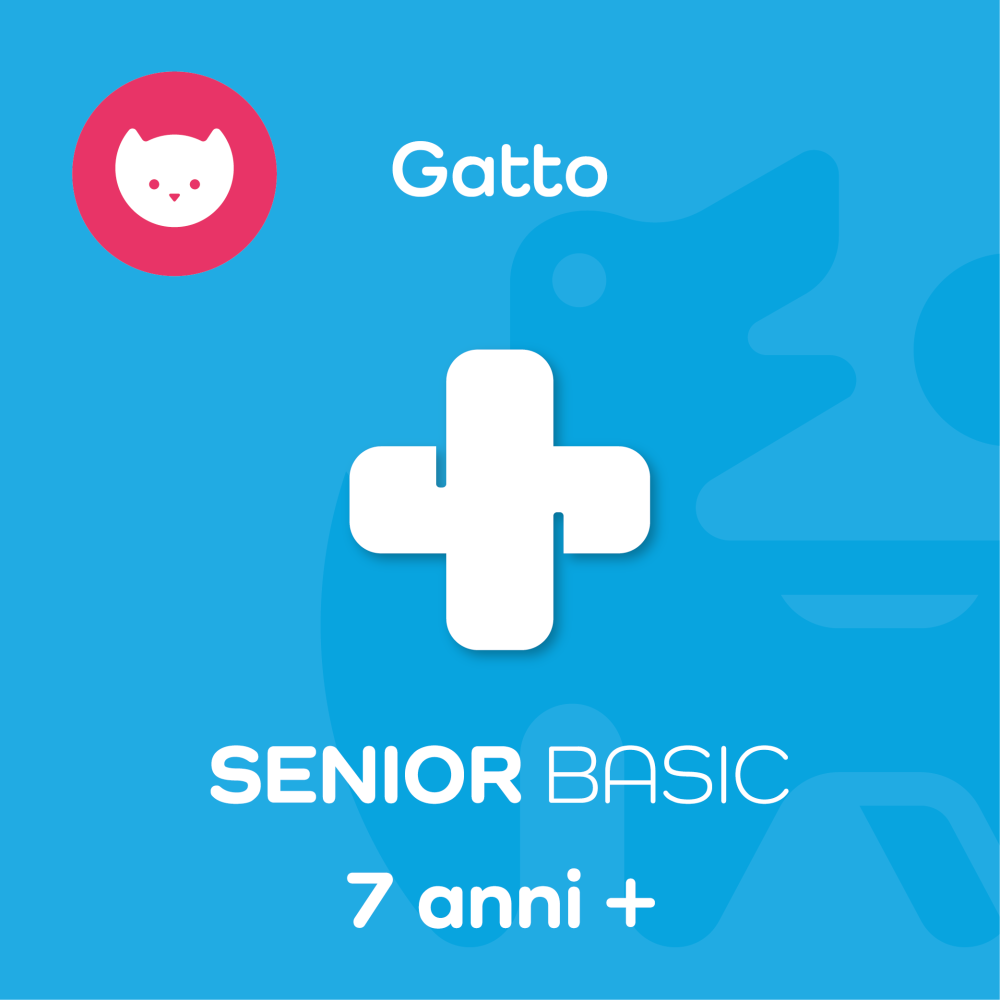 SENIOR BASIC