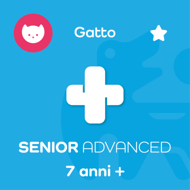 SENIOR ADVANCED