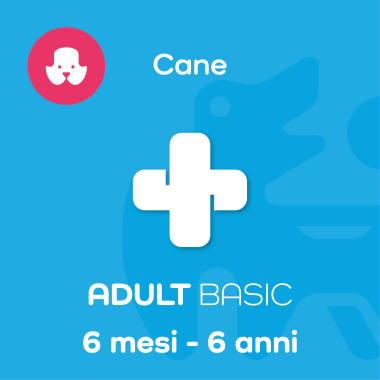 ADULT BASIC