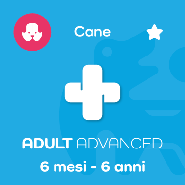 ADULT ADVANCED