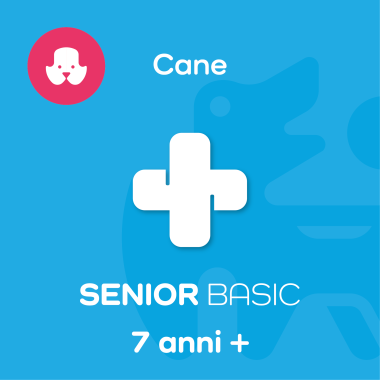 SENIOR BASIC